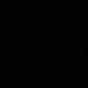 Meet your Posher, Frank